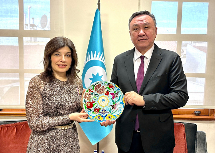 The OTS Secretary General received the President of Turkic Culture and Heritage Foundation